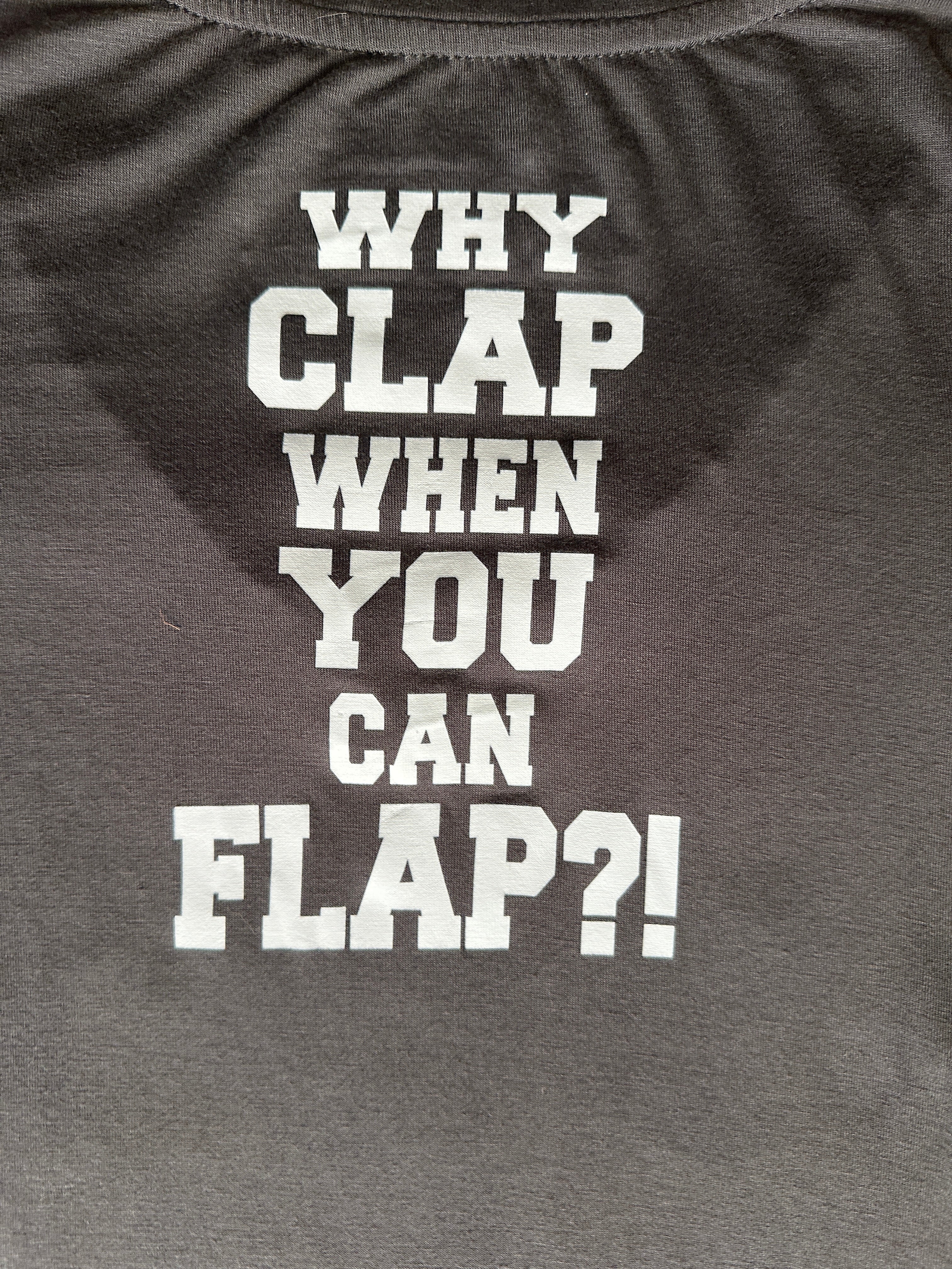 Flockers-T FLY Women's V-neck Tee